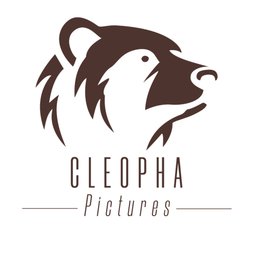 Logo de Cleopha Pictures, l'agence de communication en Seine et Marne, dans la Somme, l'Oise et Paris. Spécialisée en photo, vidéo, graphisme, infographie 3D et web design.